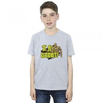 Young Hero I Am Groot T-Shirt (Grey)