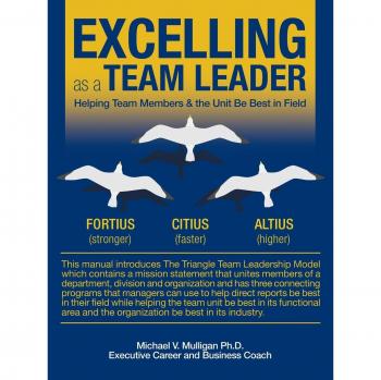Excelling as a Team Leader