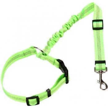 Harnais en nylon pour chien