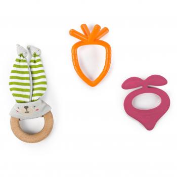 Bunny Bites Teething Set by Bright Starts and Kids II (11070)