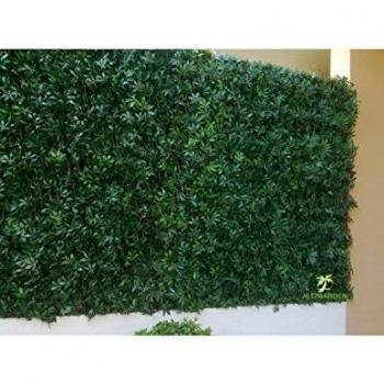 Treillis décoratif vigne vierge 1 x 2 m