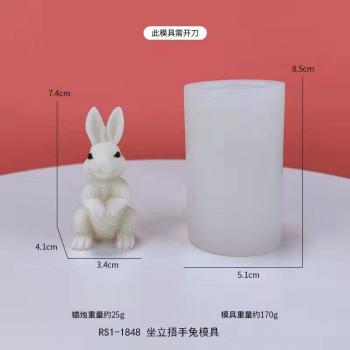 Silicone Easter Egg Bunny Mould – Gypsum, Resin, and Candle Making Kit