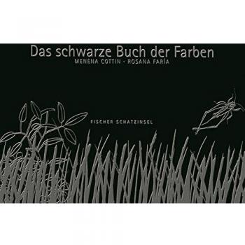Menena Cottin Das Schwarze Buch Der Farben