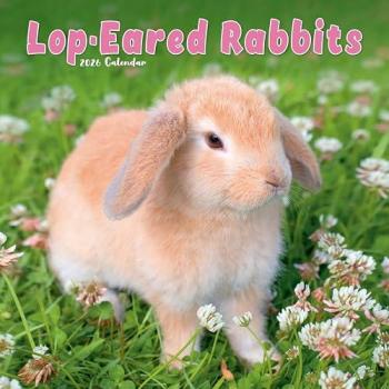 Rabbits
