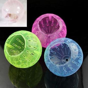 Hamster Exercise Ball
