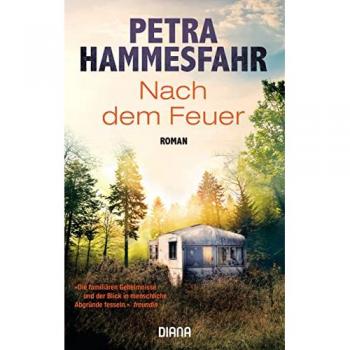 Petra Hammesfahr Nach Dem Feuer: Roman