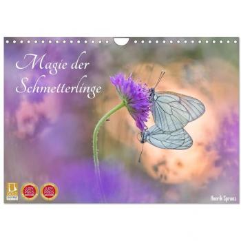 Magie der Schmetterlinge (Wandkalender 2025 DIN A4 quer) CALVENDO Monatskalender