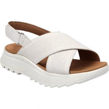Clarks Damen DashLite Wish Sneaker