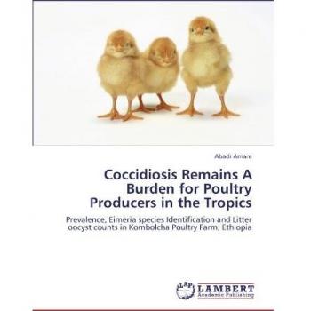 Coccidiosis Remains A Burden for Poultry Producers in the Tropics: Prevalence, Eimeria species Identification and Litter oocyst counts in Kombolcha Poultry Farm, Ethiopia