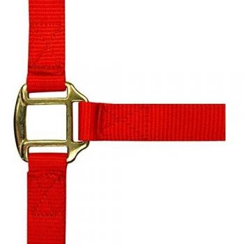 Leather‑Lined Red Nylon Headcollar – Norton Cob Edition