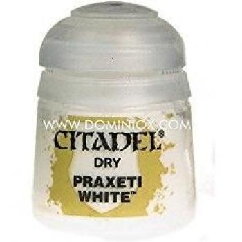 Praxeti White Dry Paint 12ml