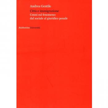 Città e immigrazione. Cenni sul fenomeno: dal sociale al giuridico penale