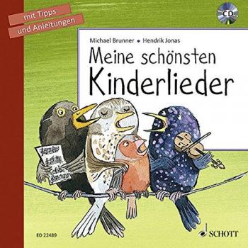 Michael Brunner Meine Schönsten Kinderlieder: Mit Tipps Und Anleitungen. Ausgabe Mit Cd.