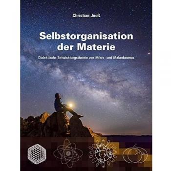 Selbstorganisation der Materie: Dialektische Entwicklungstheorie von Mikro