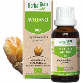 Herbalgem Extracto de Avellano 15 ml