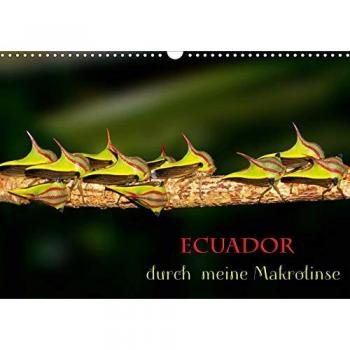 Ecuador durch meine Makrolinse