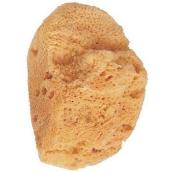 Esponja Natural Beter para Banho Marinho