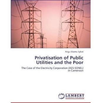 Privatisation of Public Utilities and the Poor: The Case of the Electricity Corporation
