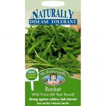 All-Year Round Wild Tricia Rocket Seeds
