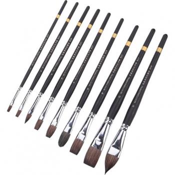 Beginner Watercolor Brush Set