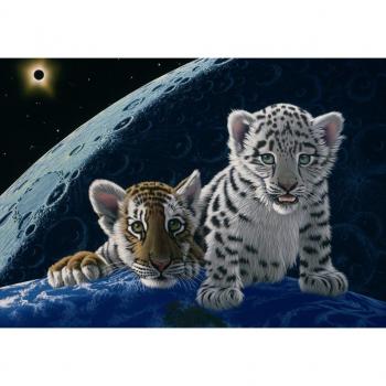 Eclipse Panorama Puzzle – 1000 Stück – Schim Schimmel