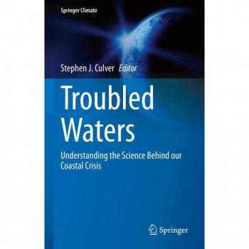 Vitalsource Technologies, Inc. Troubled Waters