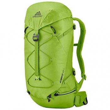 Gregory 28 L Alpinisto Reiserucksack – Lichen Green