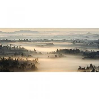 Art Décoratif Brume Matinale sur Verre 65x145 cm