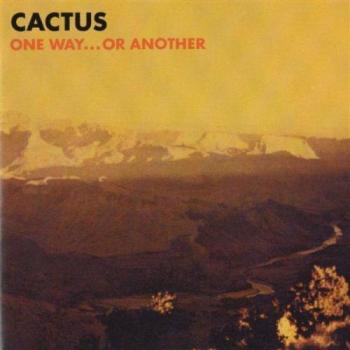 Cactus Un Chemin...Ou Un Autre