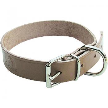 Collier Chien 30 mm Largeur 55 cm