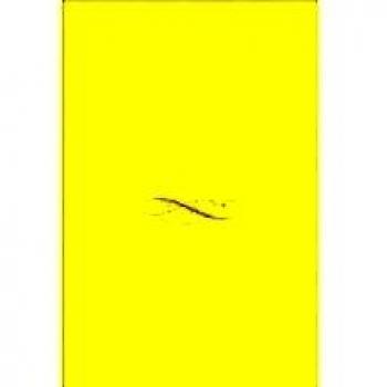 Castillos y torres fuertes del País Vasco