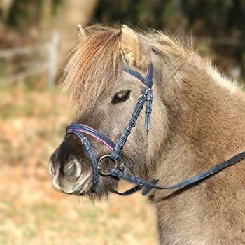 Midnight Azalea Bridle for Unicorns