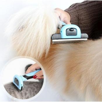 Accessoire de toilettage