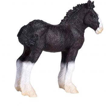 Shire Puledro Mojo