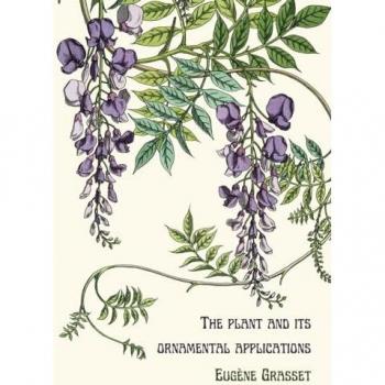 The plant and its ornamental applications