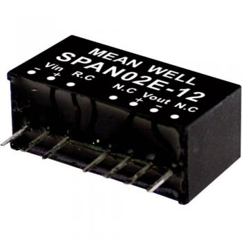 Unità Convertitore MeanWell SPAN02E-12 1 pz