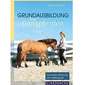 Grundausbildung von Gangpferden: Gerade richten von Anfang an
