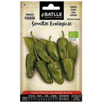 Pimiento Padrón Semillas Ecológicas