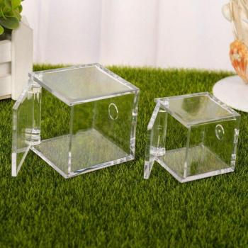 Contenedor de alimentación para hormigas 6x6x6 cm