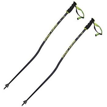 Fischer RC4 GS Alpin 2020