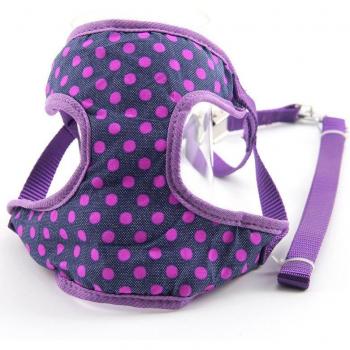 CAWAYI – Set de Harnais et Laisse pour Chiens de Petite Taille