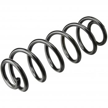 Lesjofers 4295090 Coil Spring Rear