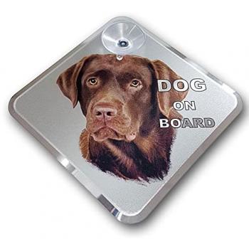 Sticker Aviso Automotriz: Perro en Cabina – Labrador 11,5x11,5 cm