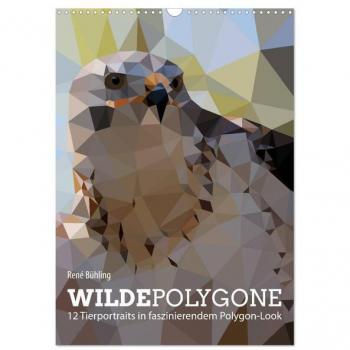 Wilde Polygone (Wandkalender 2024 DIN A3 hoch) CALVENDO Monatskalender