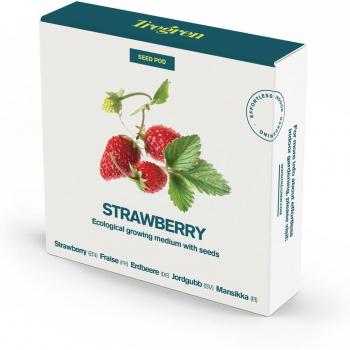 Fraise Maison Intérieure TREGEN