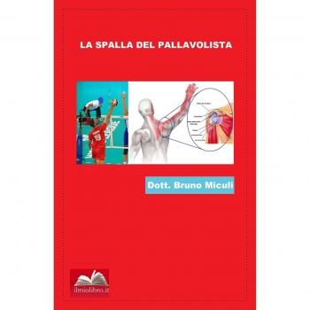 La spalla del pallavolista. Traumi della spalla e programmi rieducativi nei giocatori di pallavolo