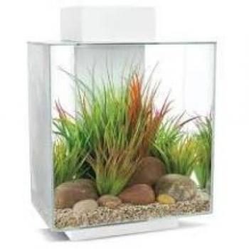 Fluval Edge 2.0 46L Aquarium-Set in Weiß