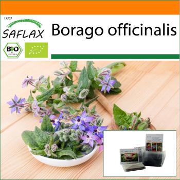 Borage Seed & Soil Set
