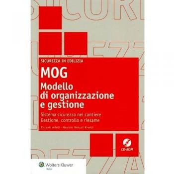 Mog modello di organizzazione e gestione