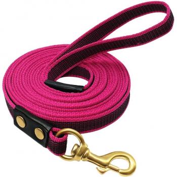 Training Pet Training Recall Rope
